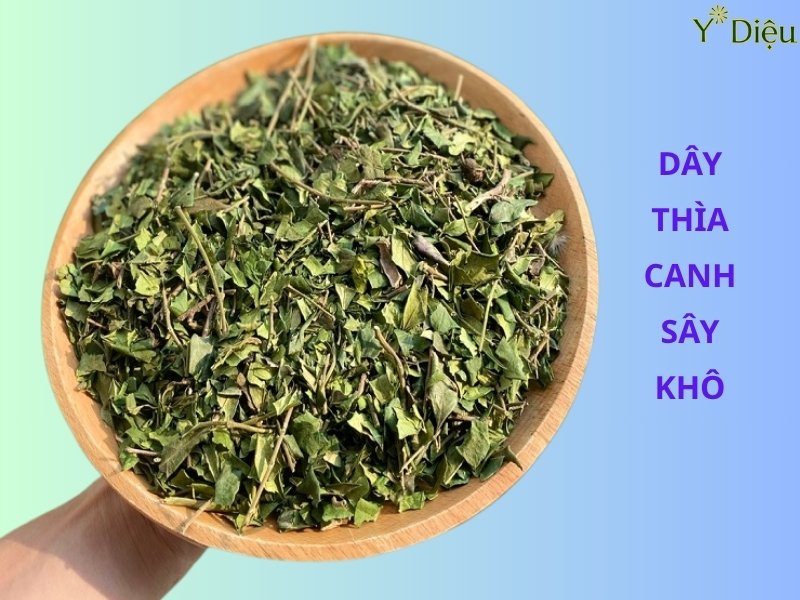 Dây thìa canh được sấy khô dùng làm trà